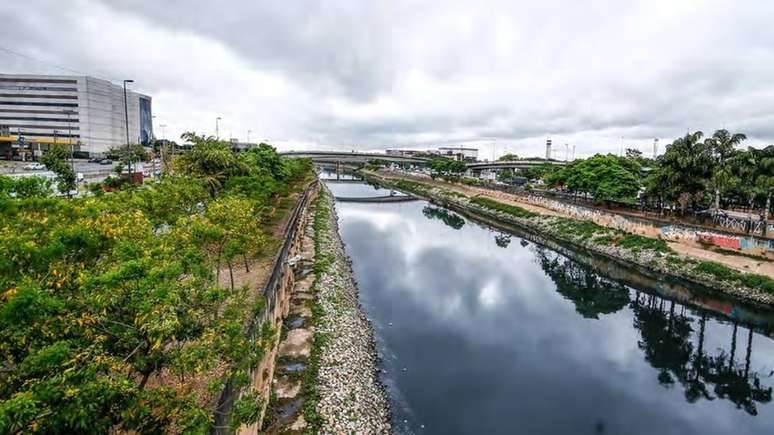 Rio Tiet&ecirc; visto da Ponte das Bandeiras | Foto: William Lucas/SOS Mata Atl&acirc;ntica