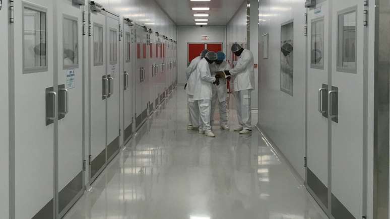 Interior da SMM, planejada para ser uma fábrica de antirretrovirais, mas que agora vai produzir outros tipos de remédio | Foto: Amanda Rossi/BBC Brasil