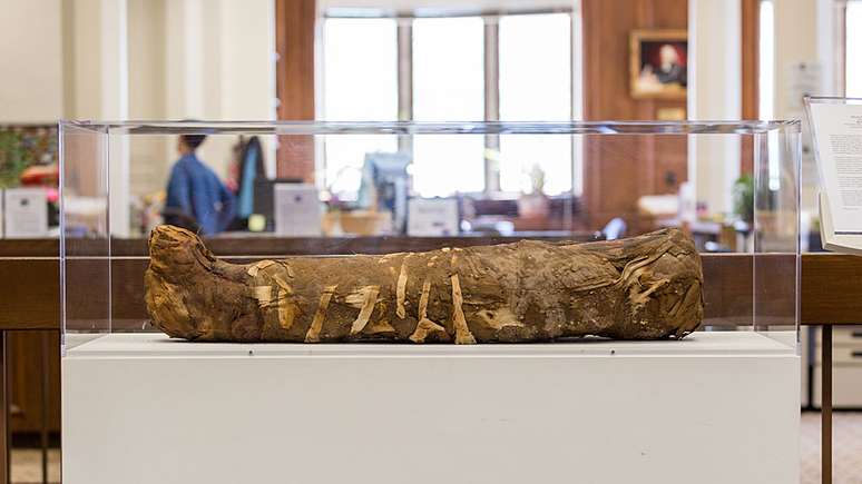 Múmia foi escavada em 1911 e levada para Chicago, nos Estados Unidos | Foto: Northwestern University