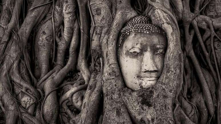Com formas geométricas, o rosto de Buda lembra uma pintura cubista | Foto: Mathew Browne/Historic Photographer of the Year