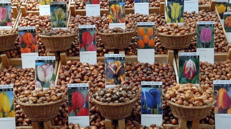 A primeira bolha especulativa conhecida foi a "mania das tulipas" na Holanda, no século 17, quando o valor das flores disparou