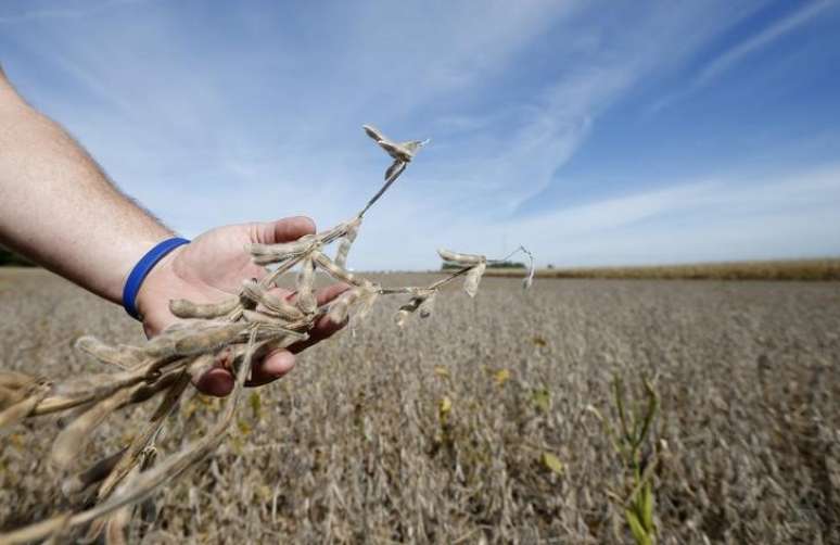 Agricultor checa lavoura de soja em Minooka, no Estado do Illinois, EUA
24/09/2014
REUTERS/Jim Young 