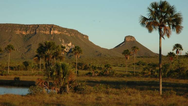 Jalapão, na serra do Espírito Santo é um dos pontos onde são encontradas espécies com frequência | Foto: Divulgação