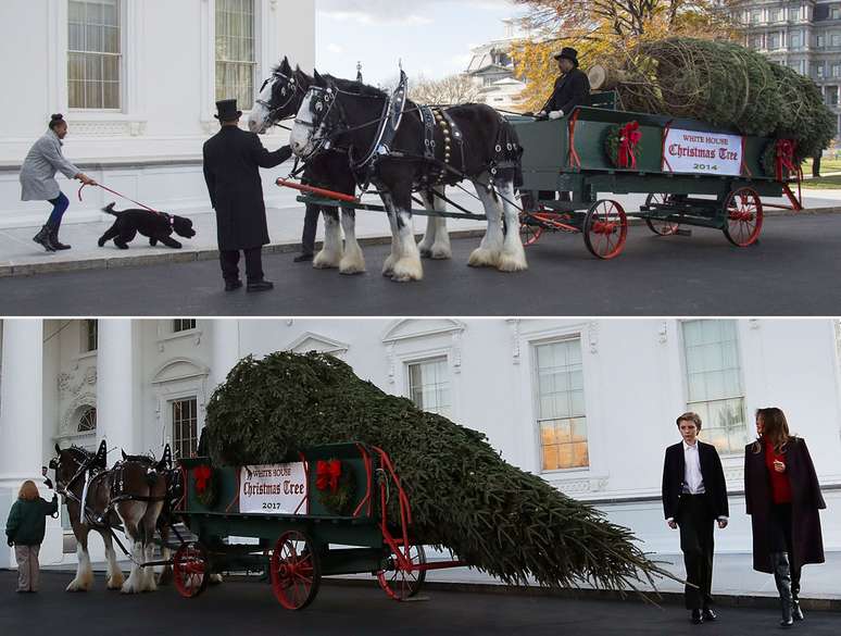 Chegada da árvore de Natal foi antecipada pelos Trump