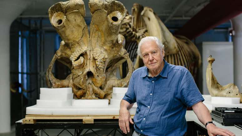 O naturalista David Attenborough e um grupo de cientistas examinaram o esqueleto de Jumbo para um documentário da BBC | Foto: Humble Bee Films