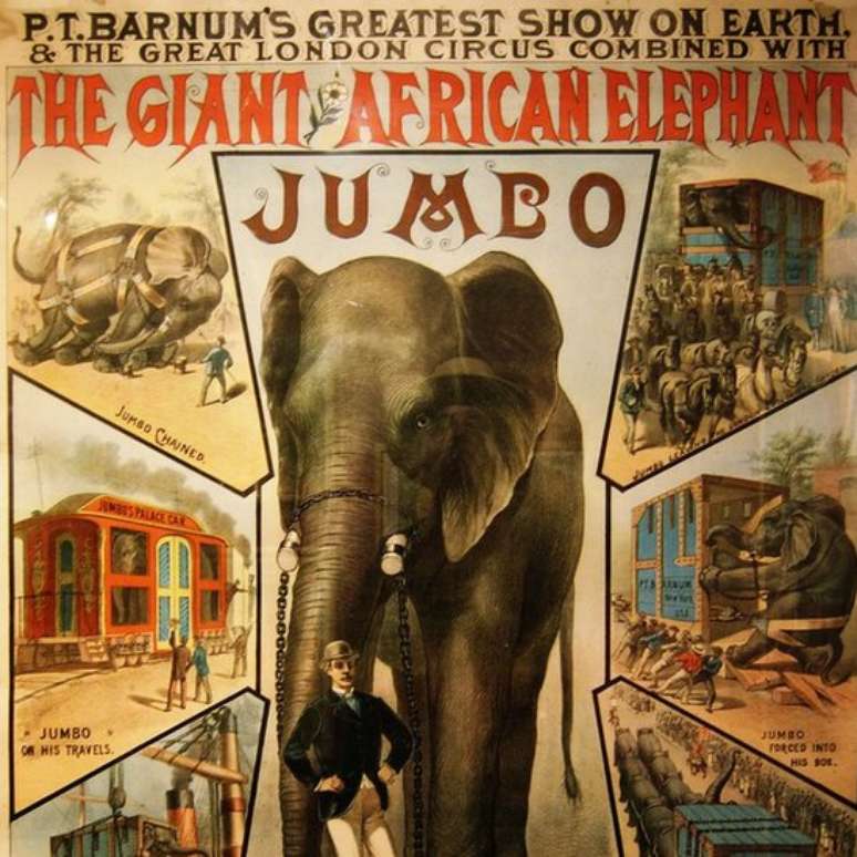 Jumbo, 'o maior elefante do mundo', foi uma grande atração nos dois lados do Atlântico | Foto: Wiki Commons