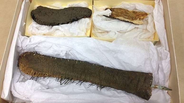 A cauda embalsamada de Jumbo foi salva de um incêndio e se encontra nos arquivos da Universidade Tufts, em Massachussetts | Foto: Wiki Commons