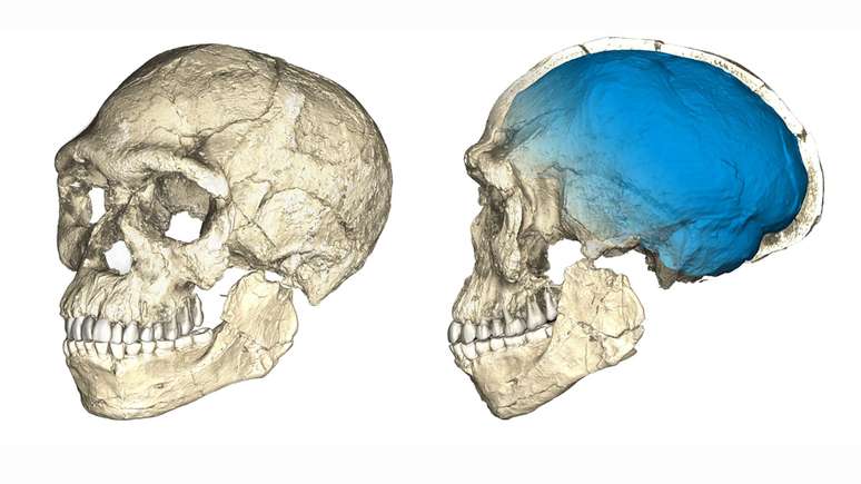 Homo Sapiens teria surgido cerca de 100 mil anos antes do que se pensava, segundo nova descoberta | Foto: Philipp Gunz/MPI EVA Leipzig