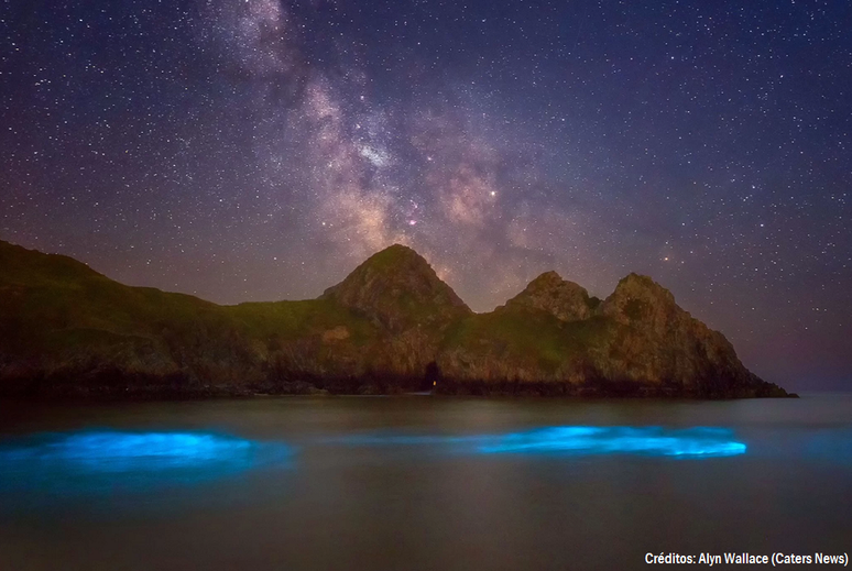 Plânctons bioluminescentes cintilam na costa do País de Gales