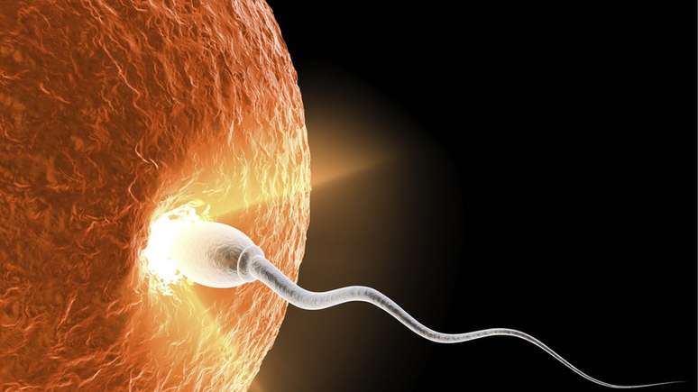 O momento (important&iacute;ssimo) da concep&ccedil;&atilde;o