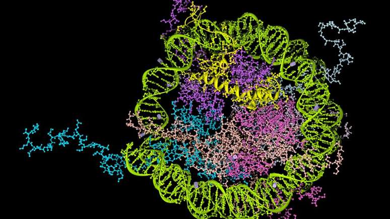 A epigen&eacute;tica foi aceita pela comunidade cient&iacute;fica