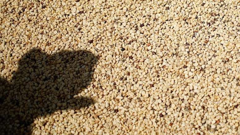 Para terem caf&eacute; classificado como "especial", produtores precisam ficar atentos a detalhes | Foto: Getty Images