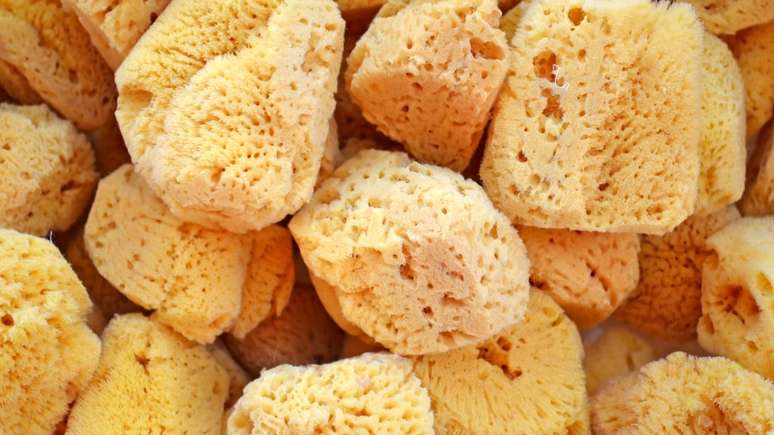 As esponjas marinhas secavam ao sol | Foto: Getty Images