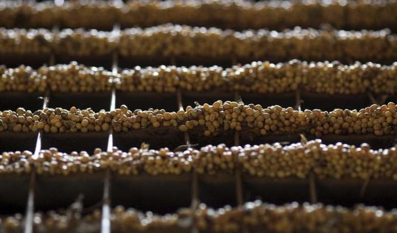 Grãos de soja em indústria de Primavera do Leste, Mato Grosso
6/02/2013 REUTERS/Paulo Whitaker