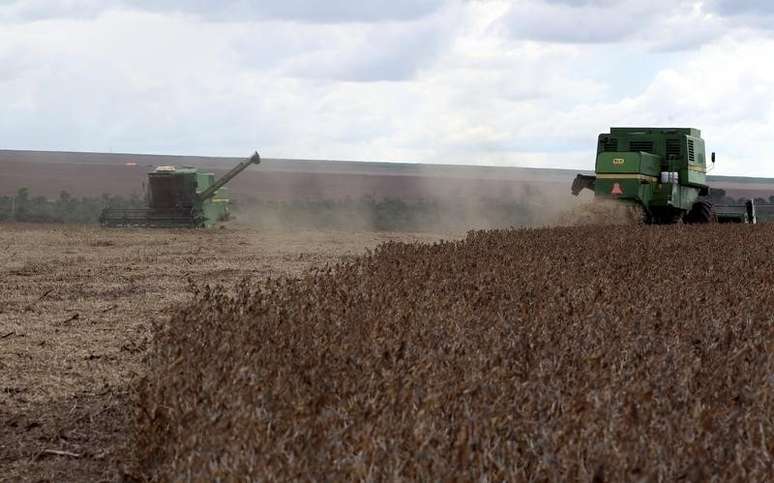 Plantação de soja em  Mato Grosso 29/1/2013 REUTERS/Paulo Whitaker 