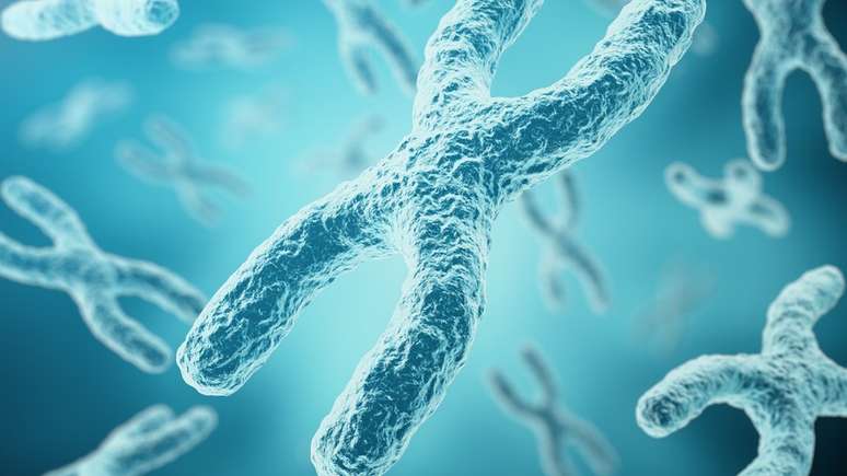 A doença está vinculada a uma mutação no cromossomo X