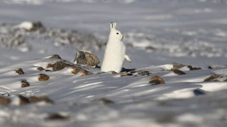 Mudan&ccedil;a clim&aacute;tica imp&otilde;e desafios para povos aut&oacute;ctones