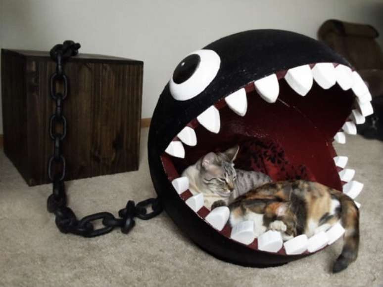 49. Essa cama de gatos do Chain Chomp é muito legal!