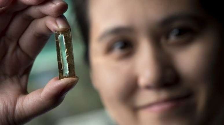 Mya Le Thai mostra sua bateria com nanofios de ouro (Reprodu&ccedil;&atilde;o:&nbsp;Steve Zylius / UCI)