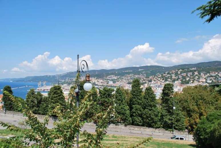 Cidade de Trieste multa em 500 euros quem sobre em &aacute;rvore