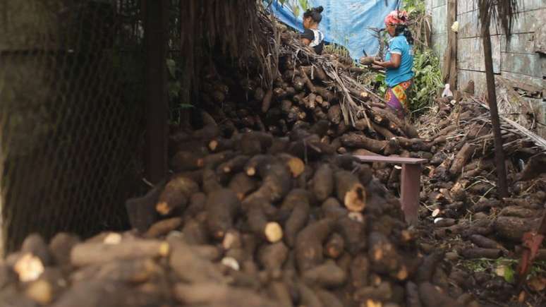 O inhame é um dos principais alimentos cultivados no Darién | Foto: Camilo Estrada Isaza/BBC
