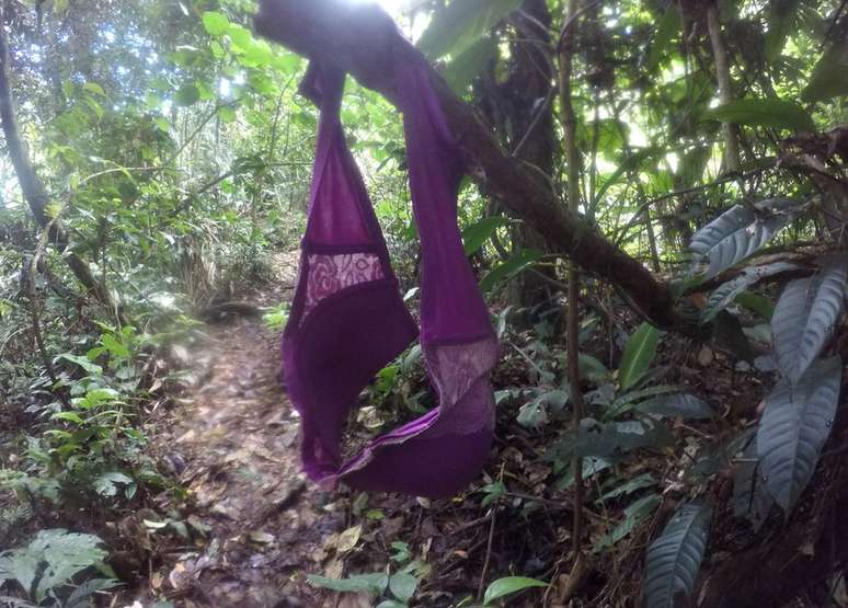 Um sutiã também serve para se ter pontos de referência na selva fechada e marcar o caminho | Foto: Camilo Estrada Isaza/BBC