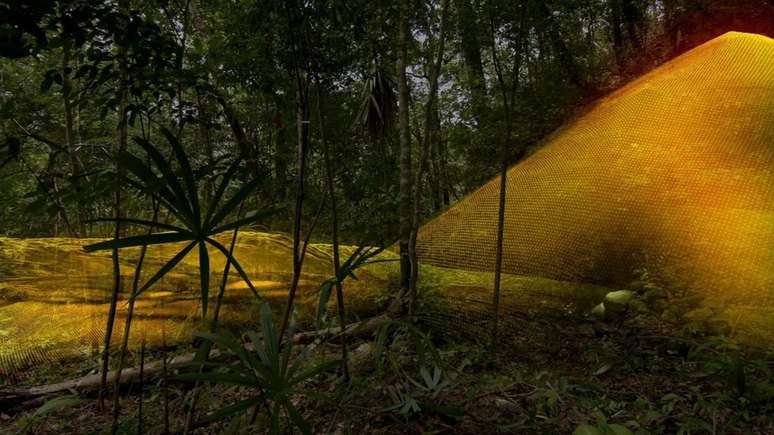 Tecnologia mapeia sob a vegetação com laser e cria imagens tridimensionais | Foto: Wild Blue Media/Channel 4/National Geographic