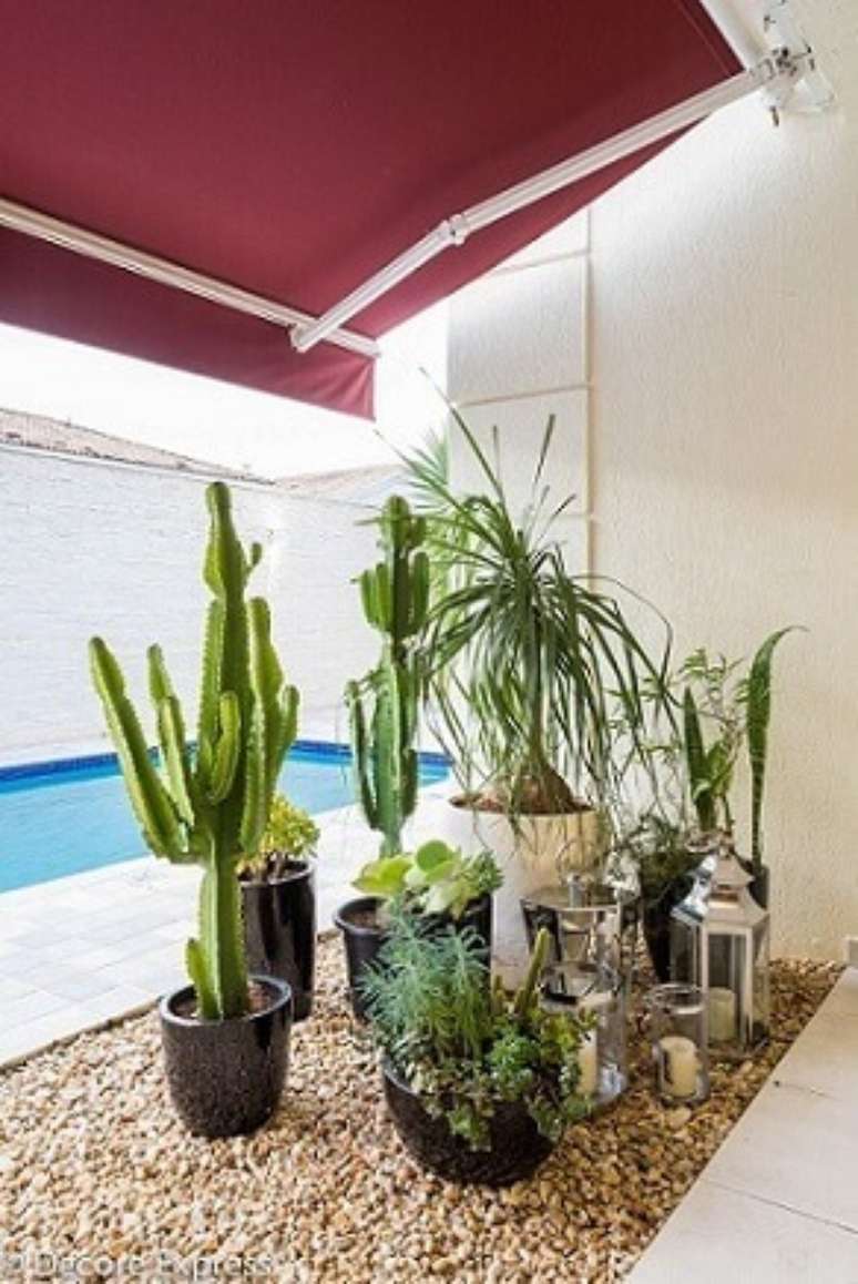 10. Se não tiver espaço ou a terra que tem em casa não for muito boa, dá para colocar suas plantas para jardim em vasos. Projeto de Camila Badaro