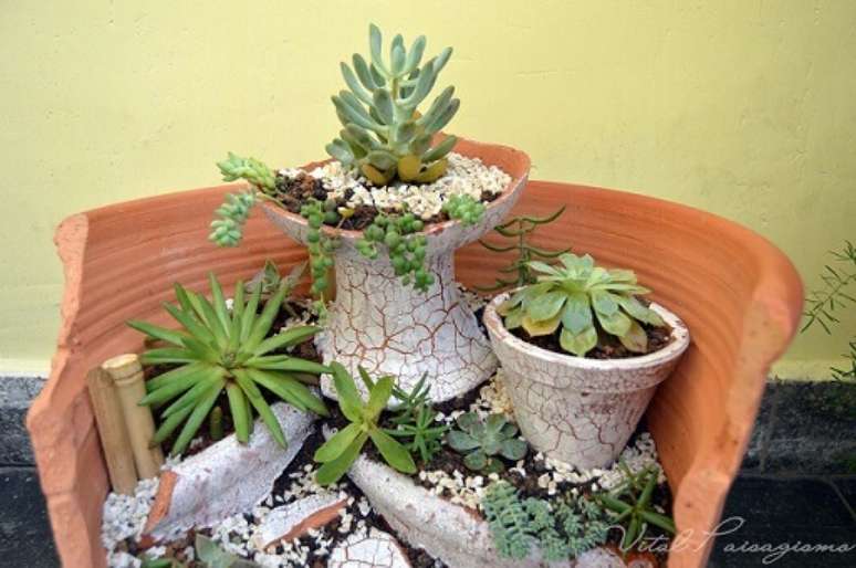 24. As suculentas são ótimas plantas para jardim e para vasos. Projeto de Vital Paisagismo