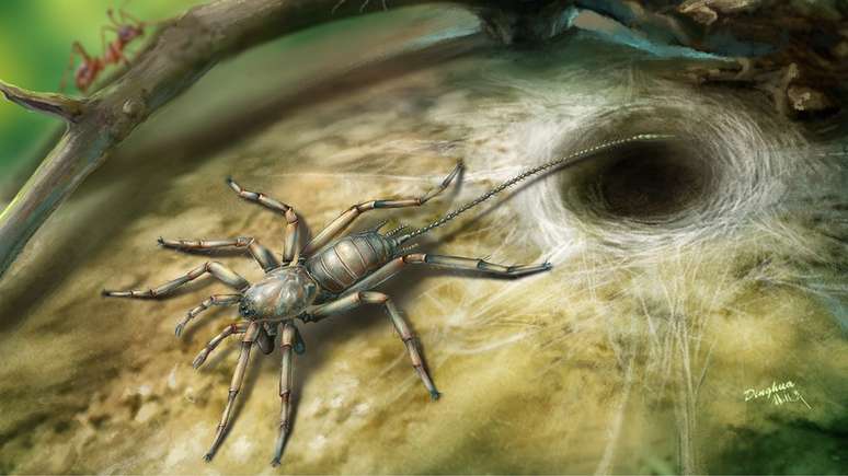 Aracnídeo, que viveu há 100 milhões de anos, lembra uma aranha como uma cauda | Ilustração: Bo Wang