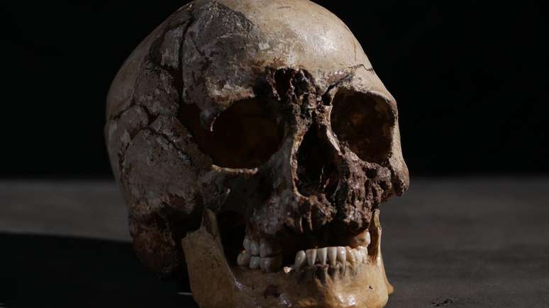 Análise do DNA foi feita a partir do crânio, mais precisamento do osso petroso | Foto: Channel 4