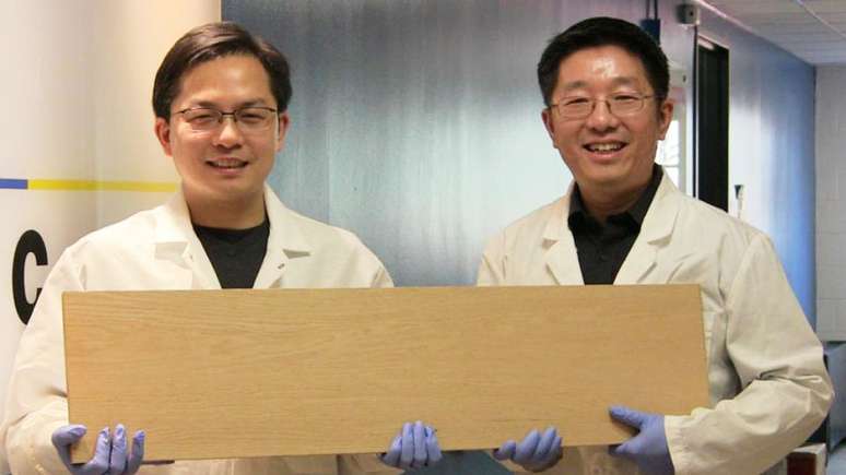 Liangbing Hu e seu colega Teng Li mostrando a supermadeira; pesquisadores a testaram com projéteis semelhantes a balas de revólver | Foto: Universidade de Maryland