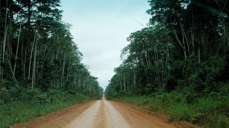 Unidades de conservação que têm perdido proteção do governo brasileiro costumam ser as mais próximas a estradas, vilarejos ou rios