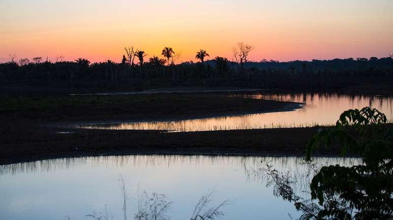 O levantamento avaliou 62 áreas protegidas em Rondônia, um dos três estados com maiores índices históricos de desmatamento na Amazônia.