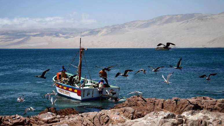 Pisco é uma cidade pesqueira localizada a 230 km ao sul de Lima