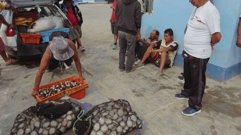Mergulhar e pescar frutos do mar são apenas uma parte do trabalho: é preciso vendê-los | Foto: V. M. Vásquez