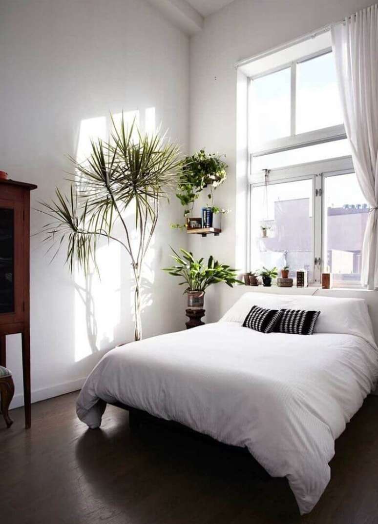 58. Utilize plantas para uma decoração simples e um ambiente mais leve