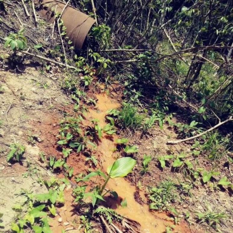 Duto clandestino encontrado por pesquisadores despeja material tóxico em nascentes | Foto: Instituto Evandro Chagas