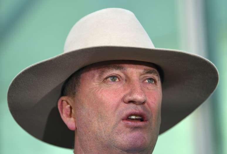 Vice-premiê da Austrália, Barnaby Joyce, durante coletiva de imprensa em Canberra 16/02/2018 AAP/Lukas Coch/via REUTERS