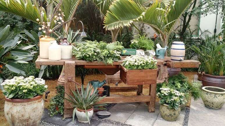 26. Flores brancas para jardim