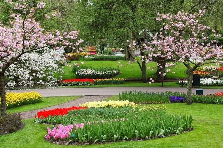 7. Saiba quais são as flores para jardim resistentes ao sol