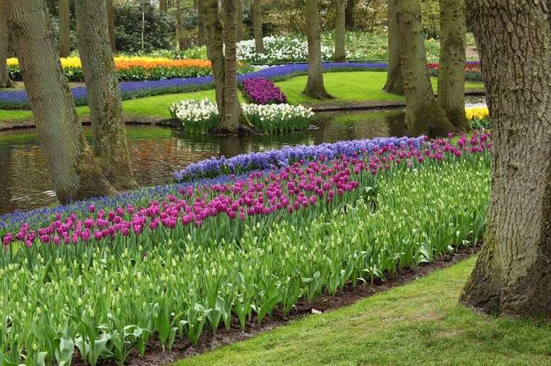 23. Linda inspiração com flores coloridas para jardim