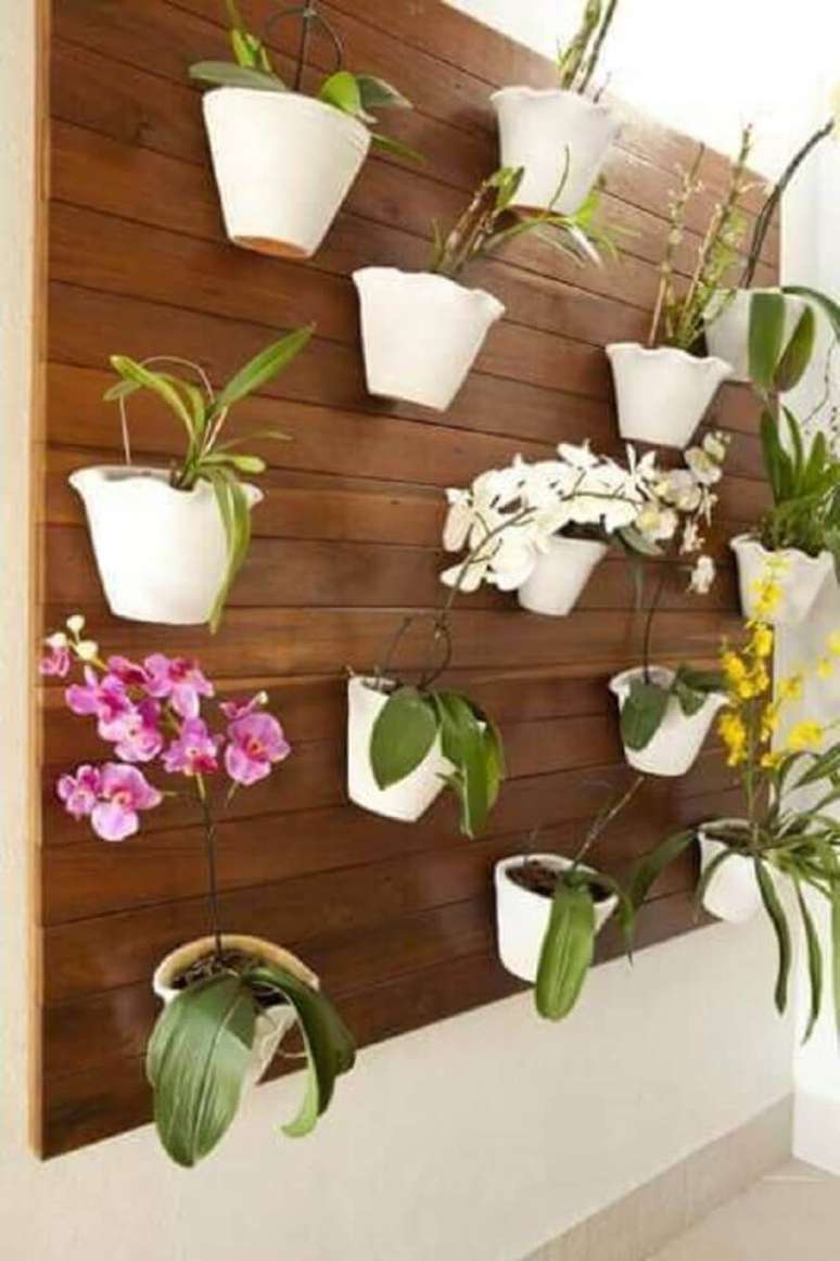 4. Orquídeas são comumente usadas como flores para jardim vertical.