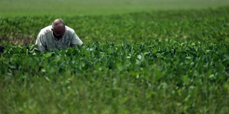 Engenheiro agrícola observa lavouras de soja em plantação perto de Pergamino, na Argentina
23/01/2017
REUTERS/Marcos Brindicci