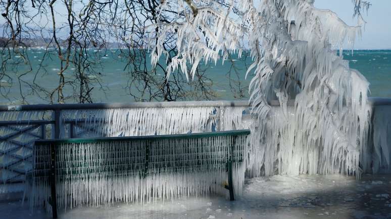 Em Genebra, na Suíça, até as plantas ao lado do lago congelaram