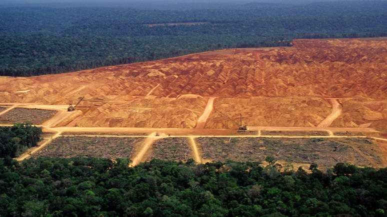 Perdão a desmatamentos cometidos até 2008 está entre os pontos mais polêmicos do Código Florestal, que tem dispositivos questionados no STF