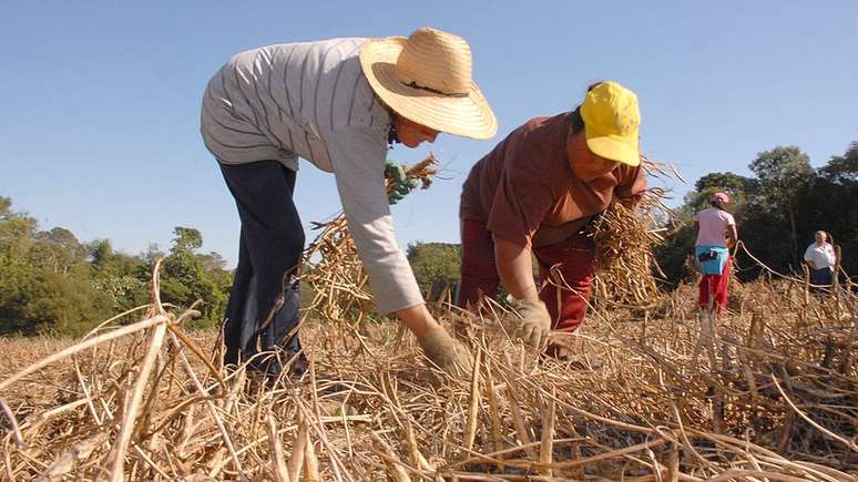 Cerca de 4,7 milhões de imóveis rurais já fizeram o Cadastro Ambiental Rural (CAR) | Foto: Hedeson Alves/Governo do Paraná