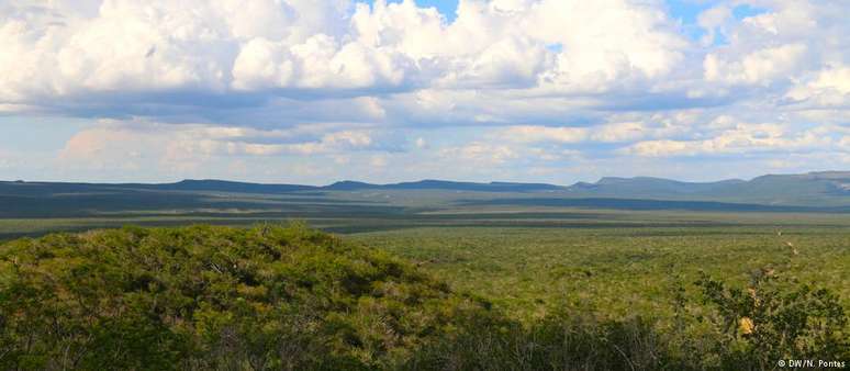 Boqueirão da Onça: faixa mais longa da caatinga ainda preservada