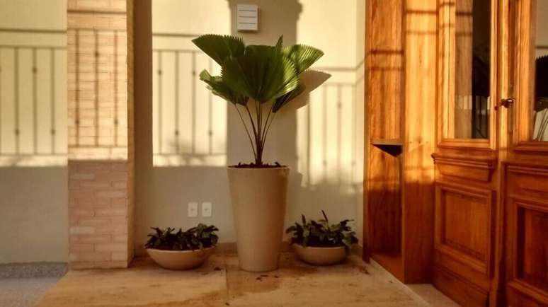 17. Você também pode utilizar vasos de plantas no hall de entrada.