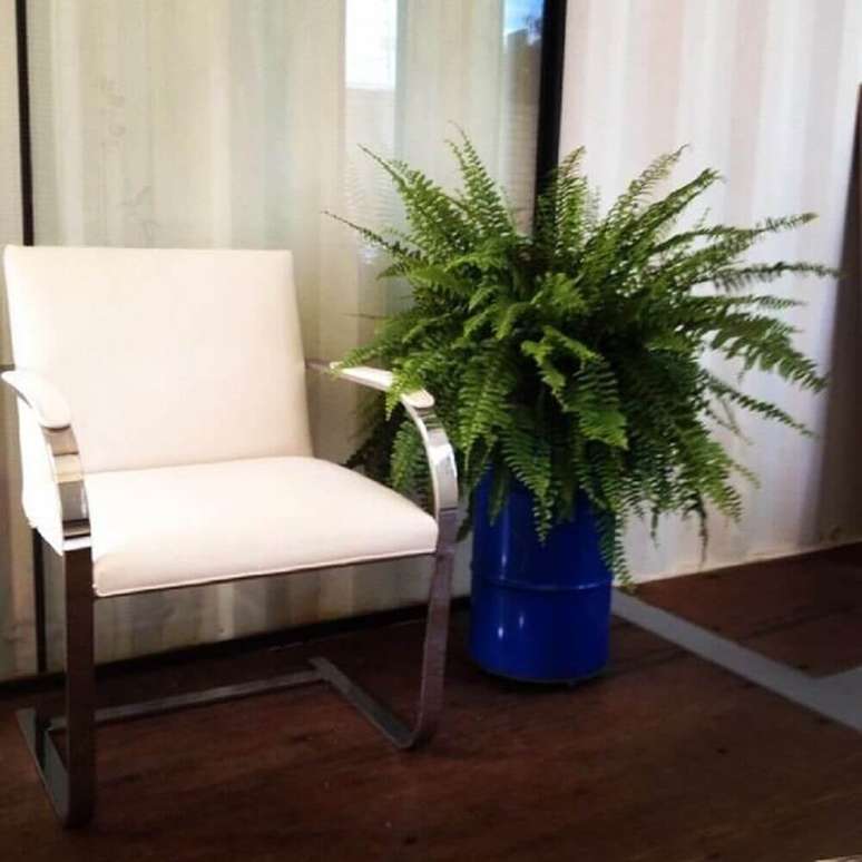 25. Decora&ccedil;&atilde;o com vasos de plantas para sala